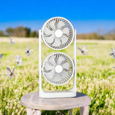 ডাবল পাখার রিচার্জেবল ফ্যান