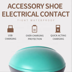 Electric Head & Body Massager