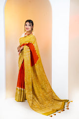 New Saree collection (2)