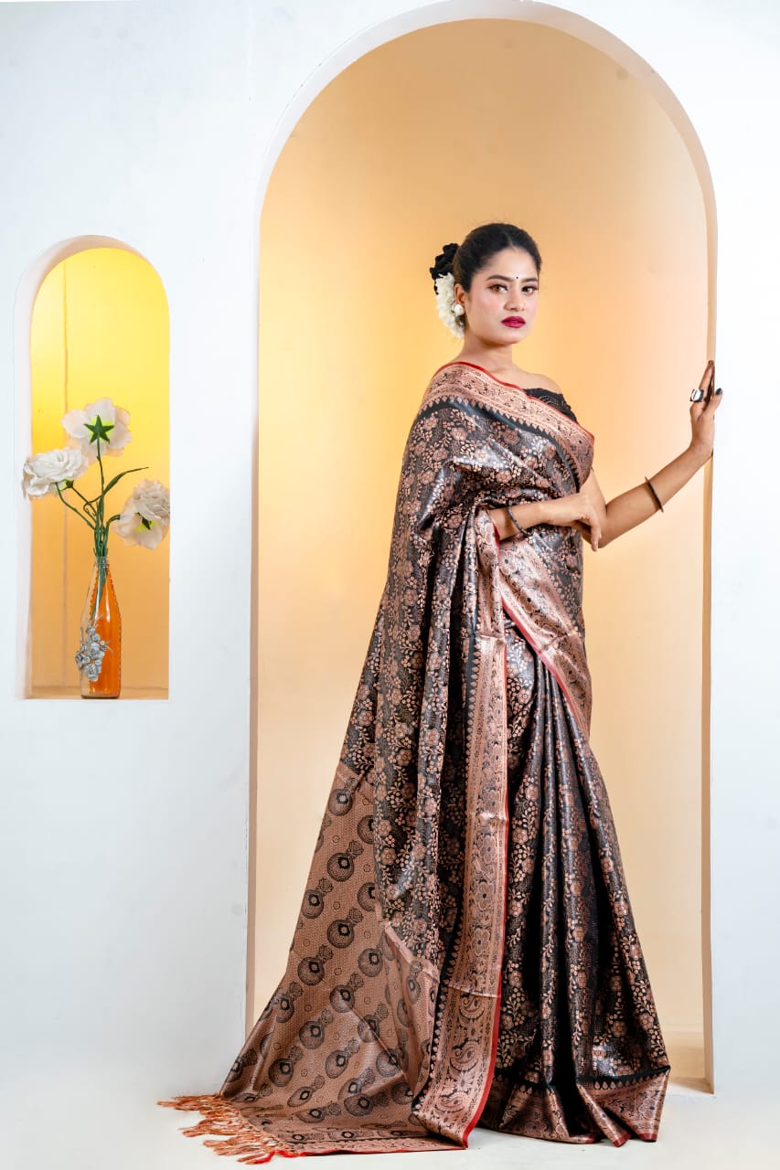 Soft Silk Saree colection (7)