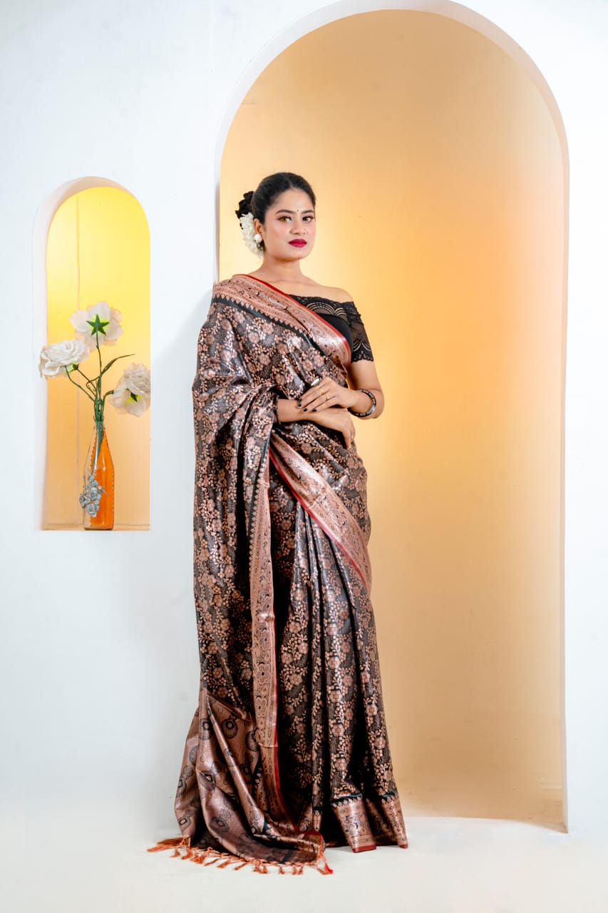 Soft Silk Saree colection (7)