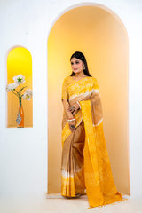 Soft Silk Saree colection (6)