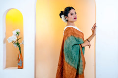 New Saree Collection (4)