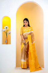 Soft Silk Saree colection (6)