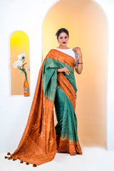 New Saree Collection (4)