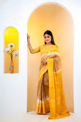 Soft Silk Saree colection (6)